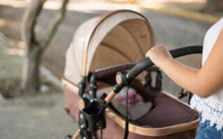 carrinho de bebê moisa es