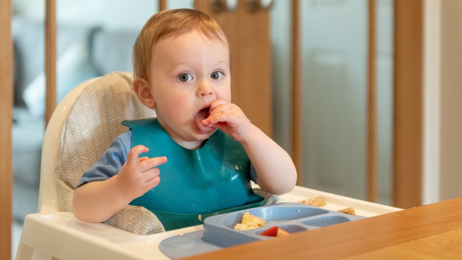 Cadeirão para Bebê